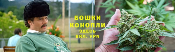 дурь Ладушкин