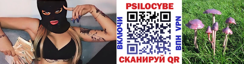 Галлюциногенные грибы Psilocybe  shop какой сайт  Юхнов 
